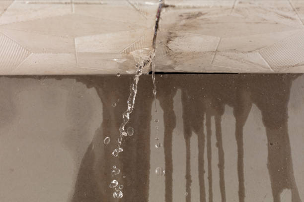 Professional Structural Drying technician working in Athens, TX